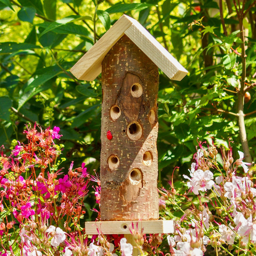 Wildlife World lieveheersbeestjeshotel