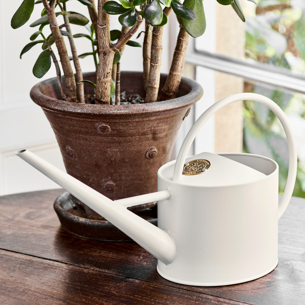 Sophie Conran gieter van 1,7 l - Lichtbeige - Afbeelding 2