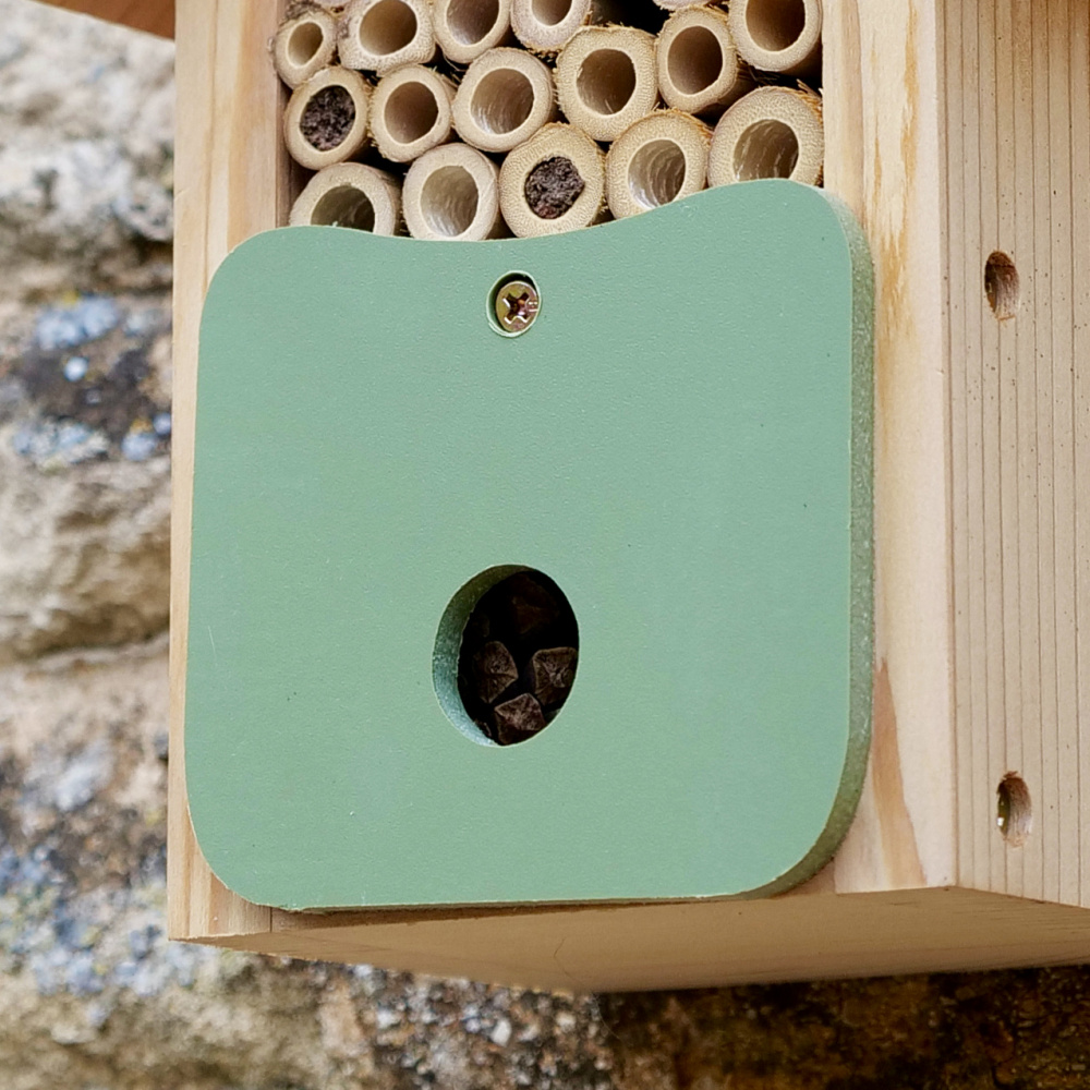 Hôtel à abeilles Wildlife World - Image 3