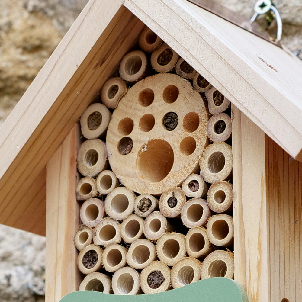 Hôtel à abeilles Wildlife World - Image 2