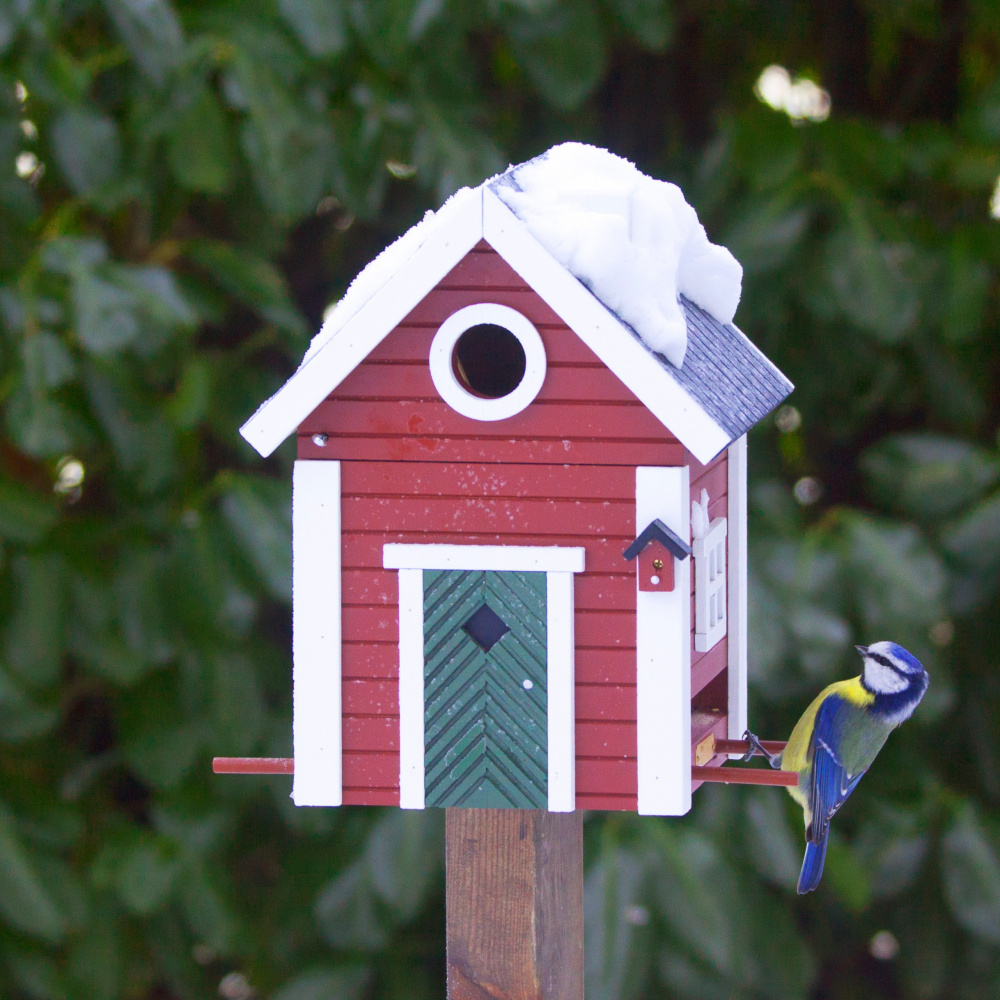 Nichoir/mangeoire Wildlife Garden - rouge - Image 4