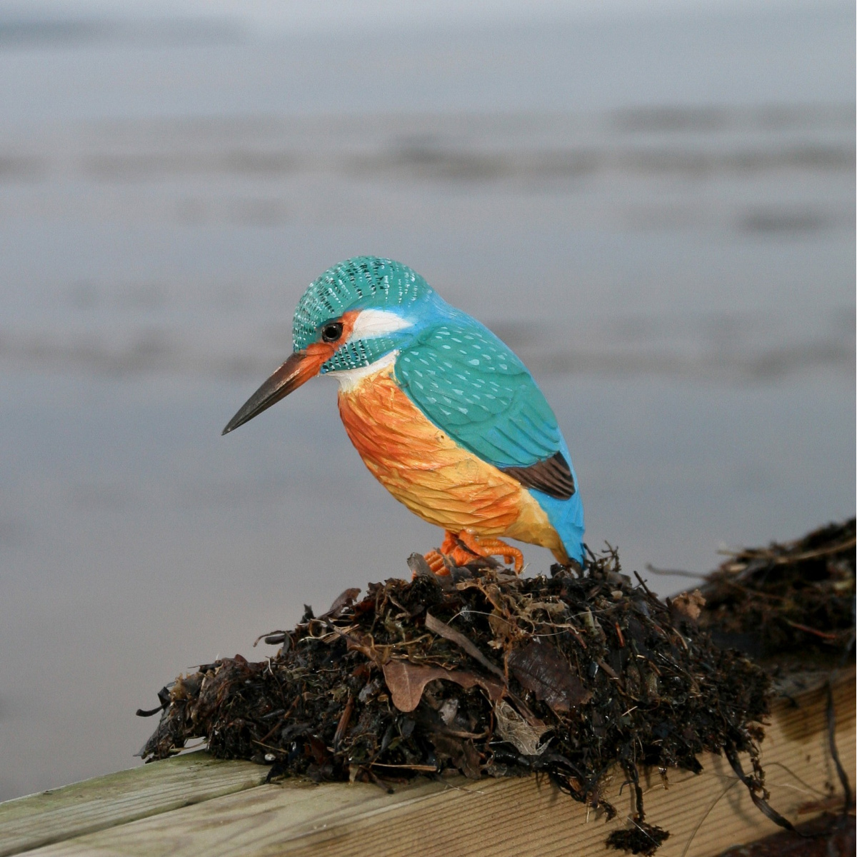 Wildlife Garden Holzvogel – Eisvogel