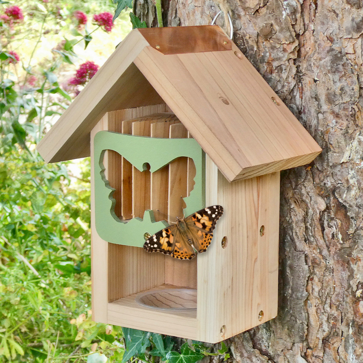 Maison à papillons Wildlife World