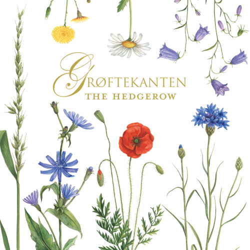 Koustrup & Co. kortmappe - grøftekanten