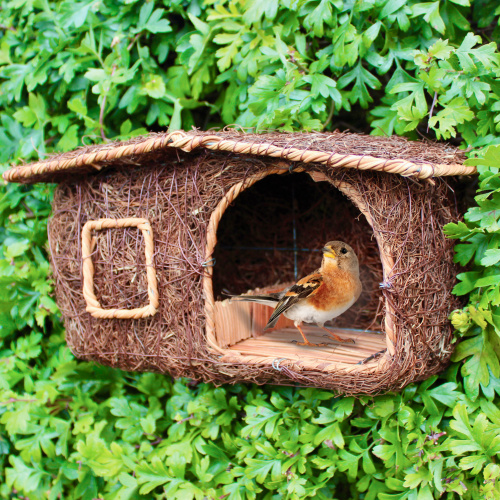 Wildlife World fuglehus hytte i flet
