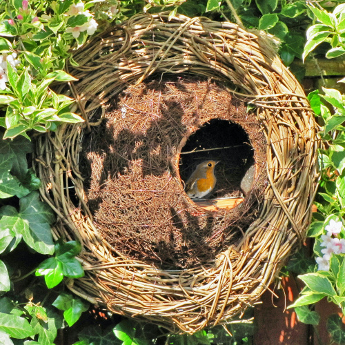 Wildlife World vogelhuisje krans van vlechtwerk