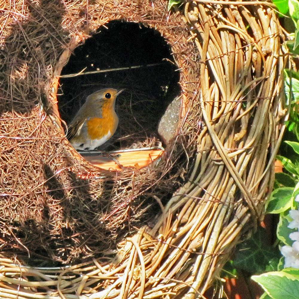 Wildlife World vogelhuisje krans van vlechtwerk - Afbeelding 2