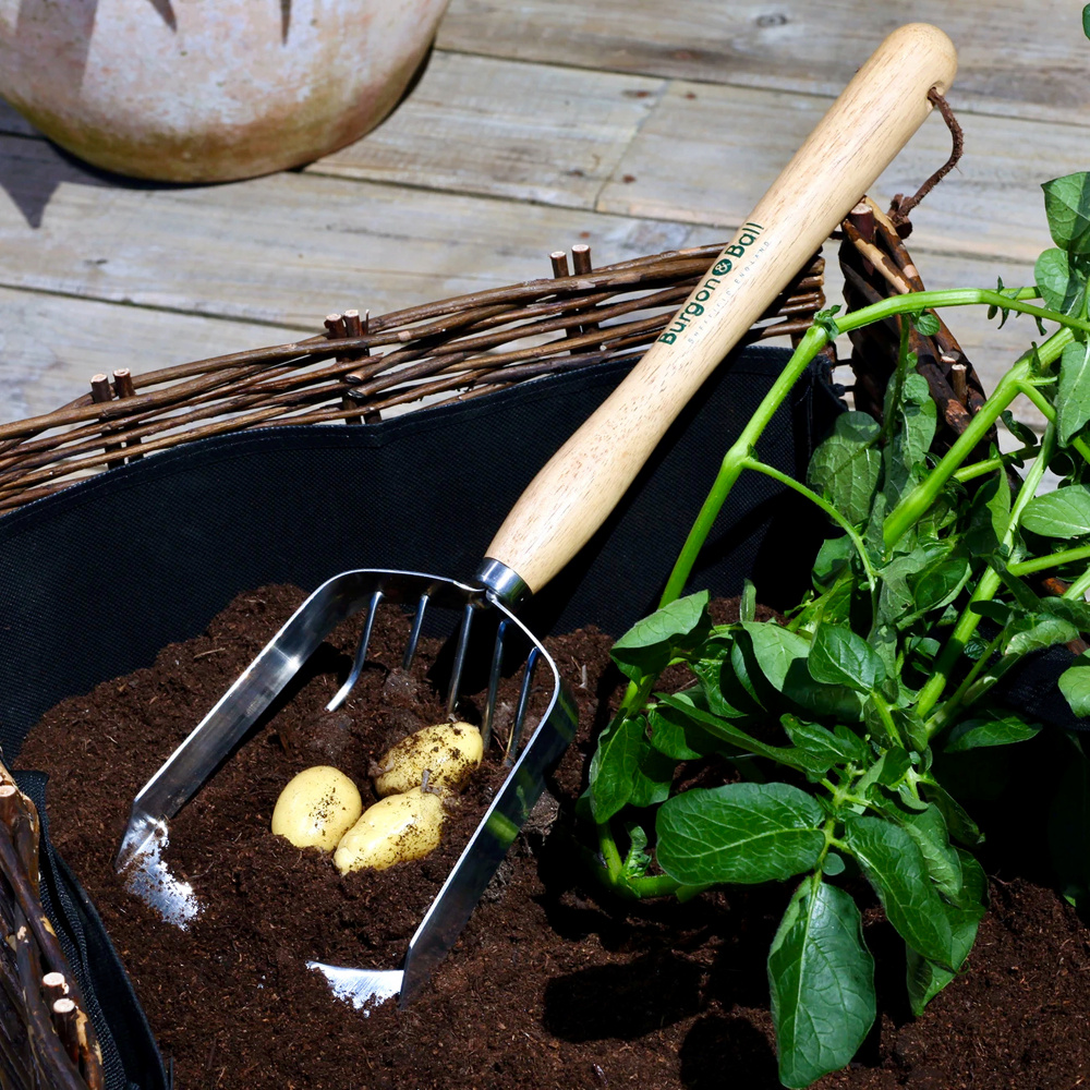 Burgon & Ball potato scoop - Image 2