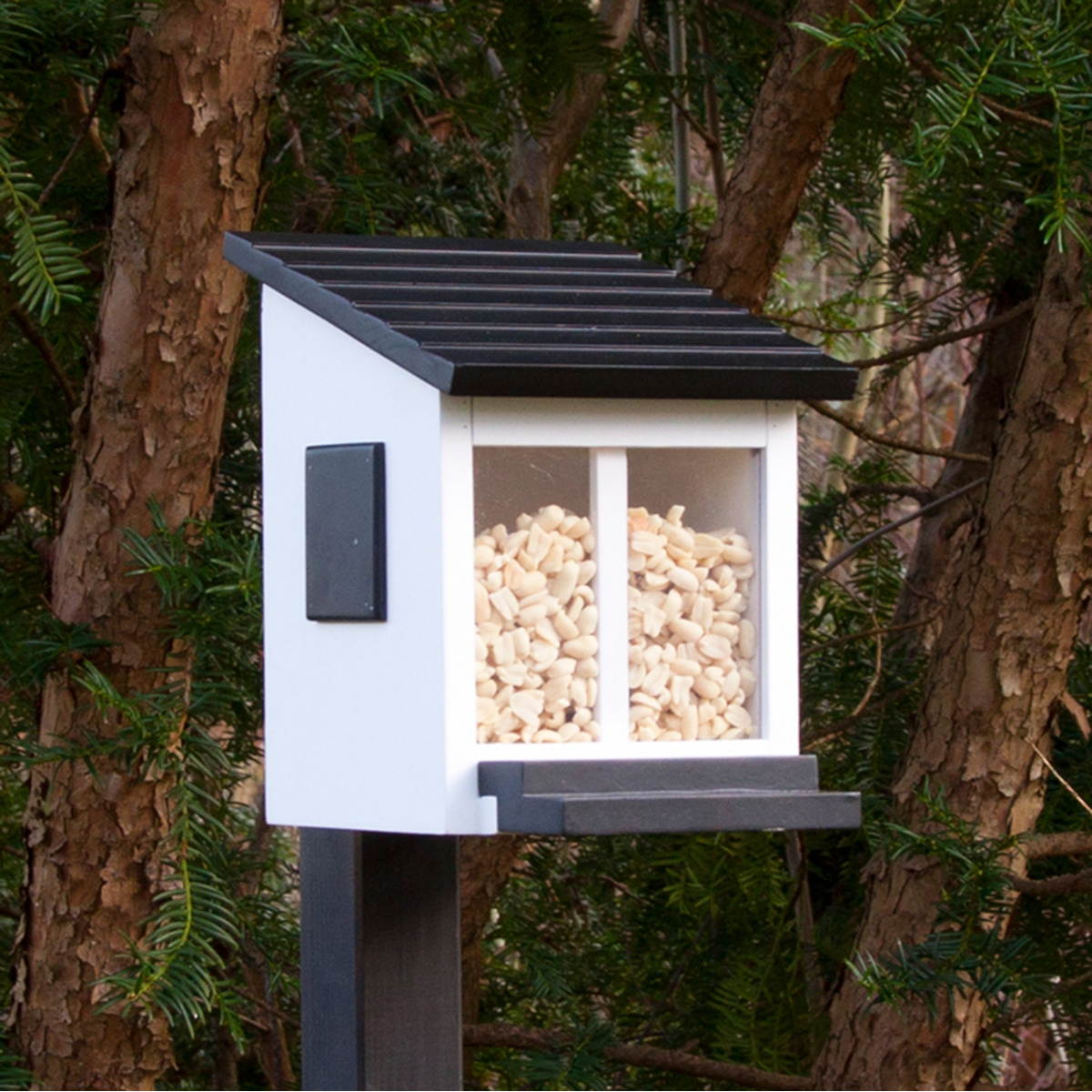 Wildlife Garden egern foderhus - hvid