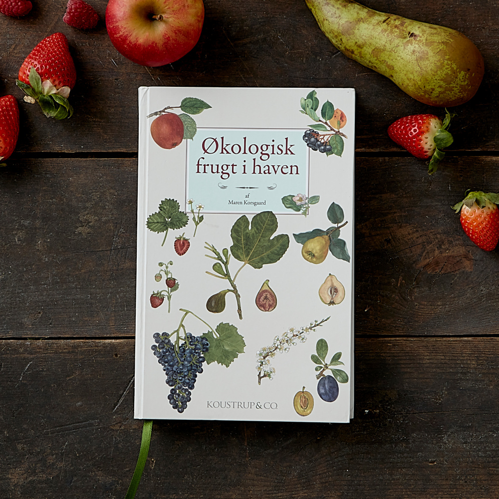 Biologisch fruit in de tuin - van Koustrup & Co. - Afbeelding 2