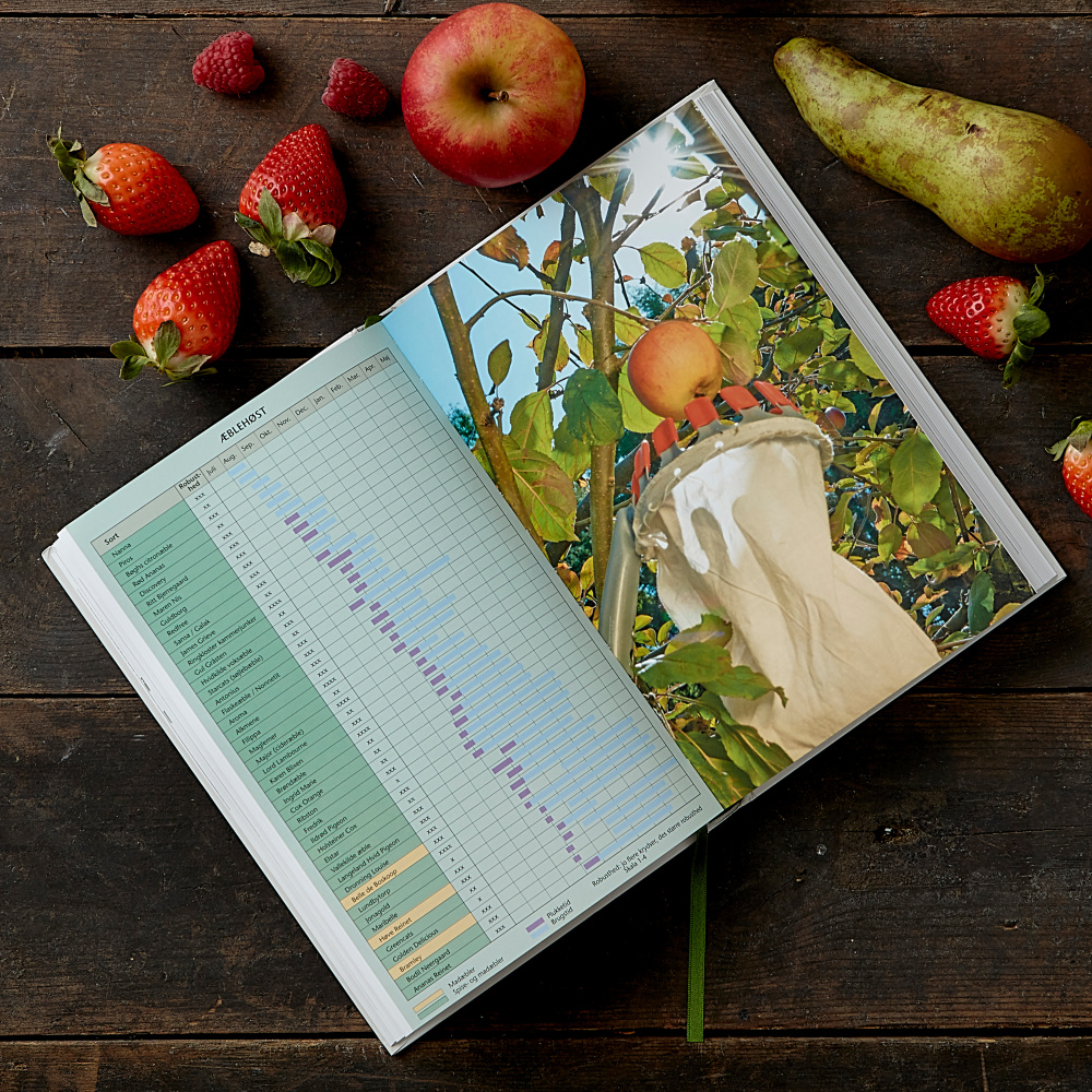 Biologisch fruit in de tuin - van Koustrup & Co. - Afbeelding 4