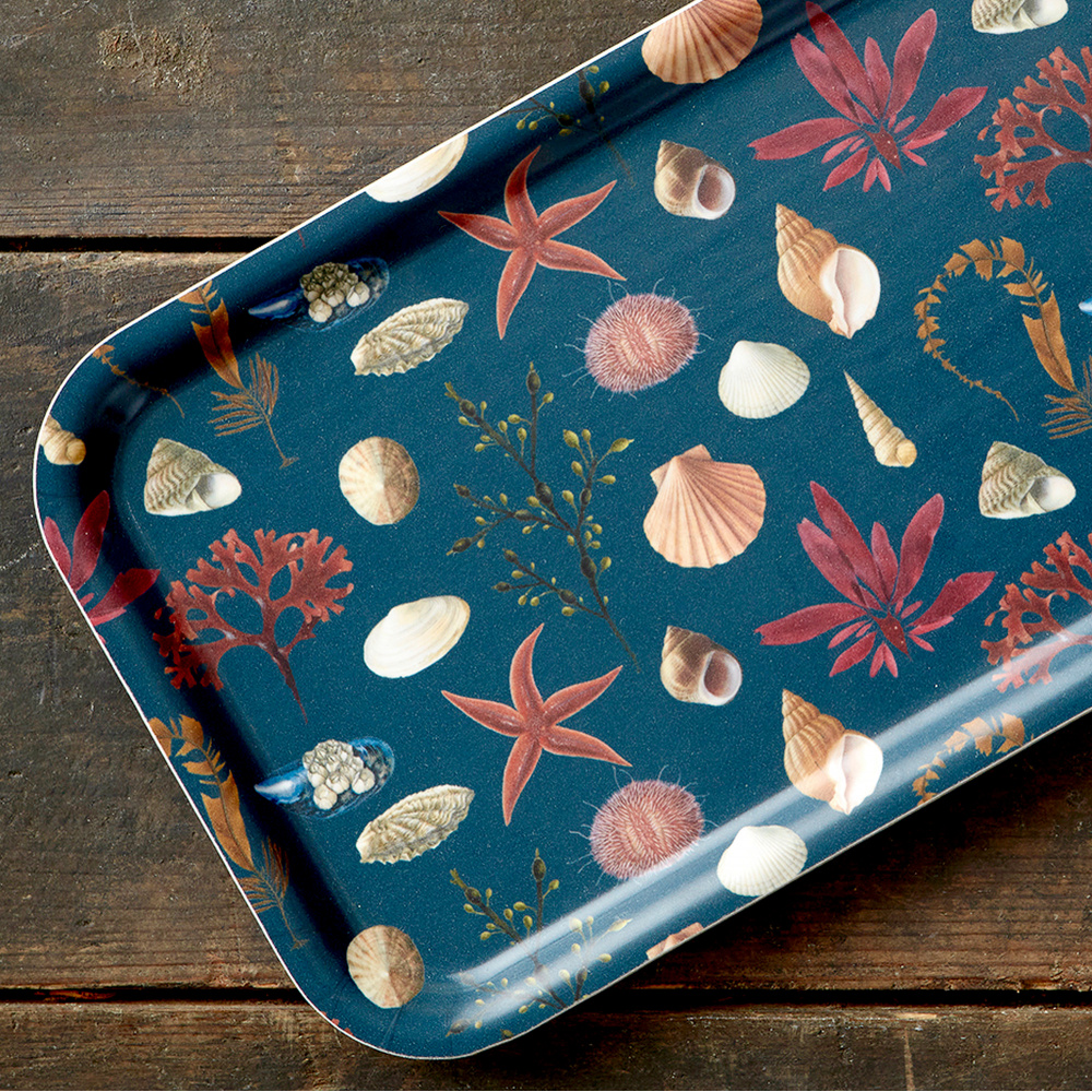 Koustrup & Co. bakke, 32x15 - stranden - Billede 3