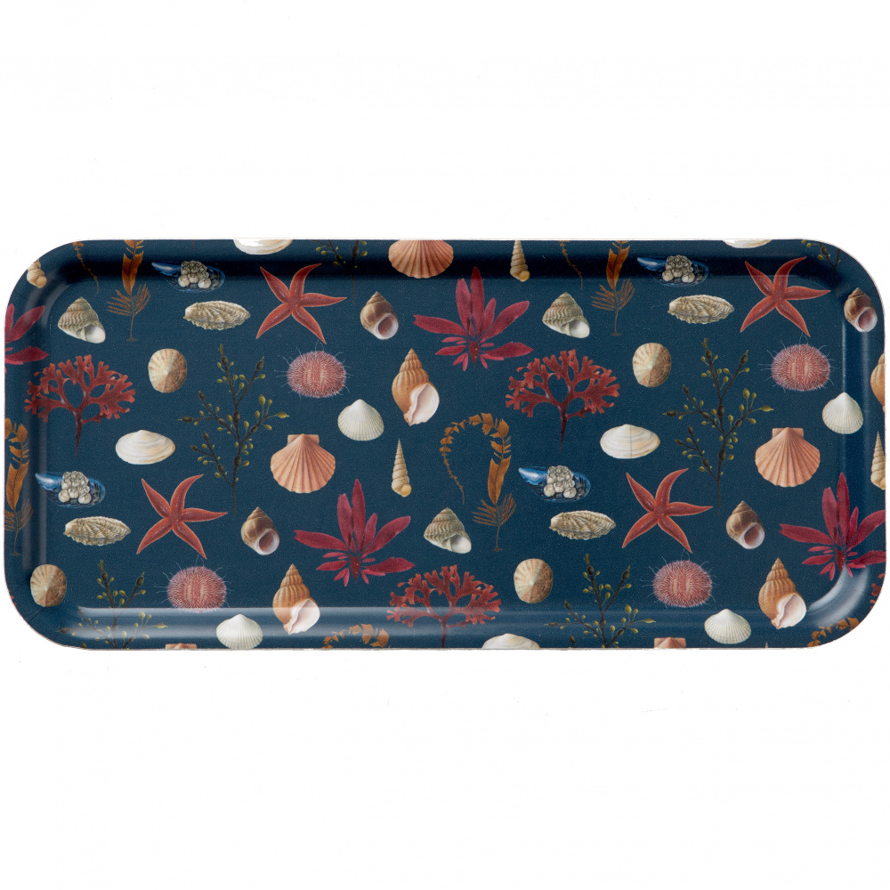 Koustrup & Co. bakke, 32x15 - stranden - Billede 2