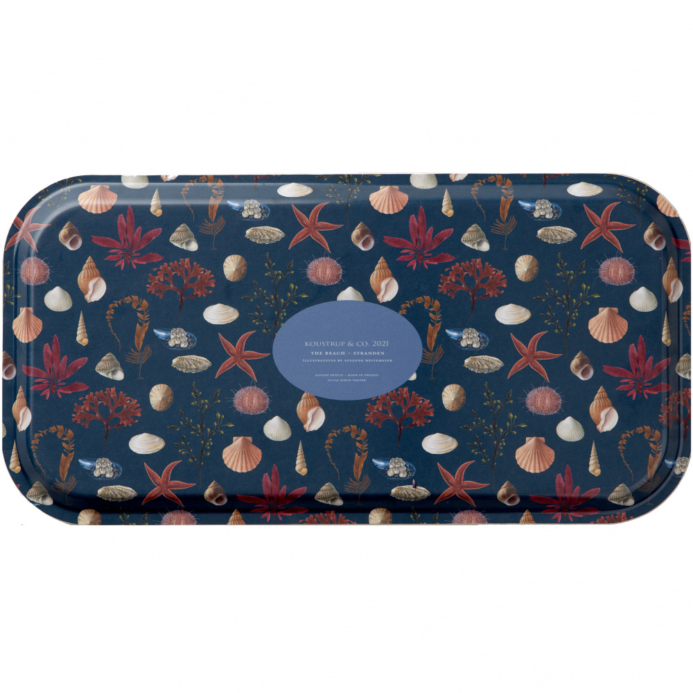 Koustrup & Co. bakke, 32x15 - stranden - Billede 5