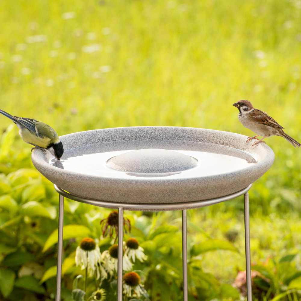 Bain d’oiseaux Denk en granit