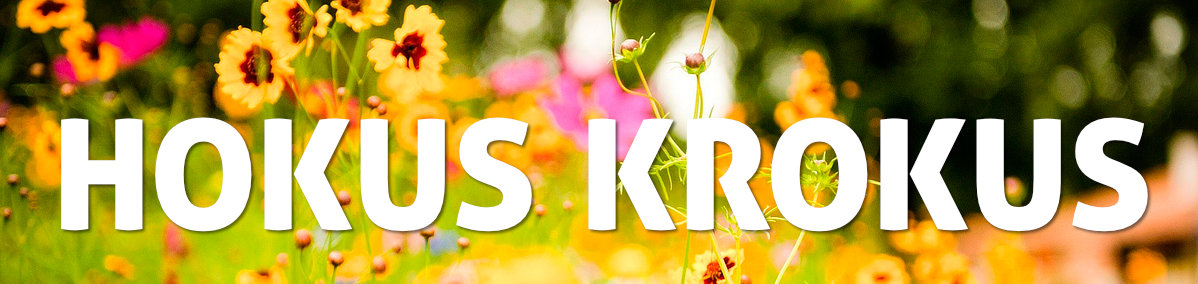 Hokus Krokus