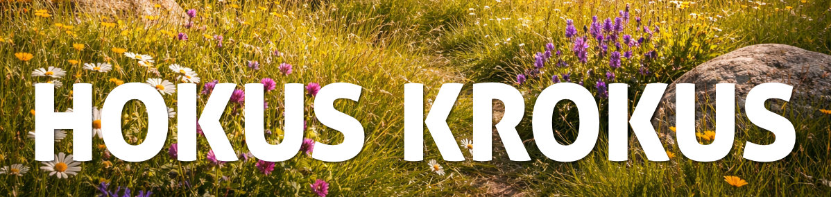 Hokus Krokus