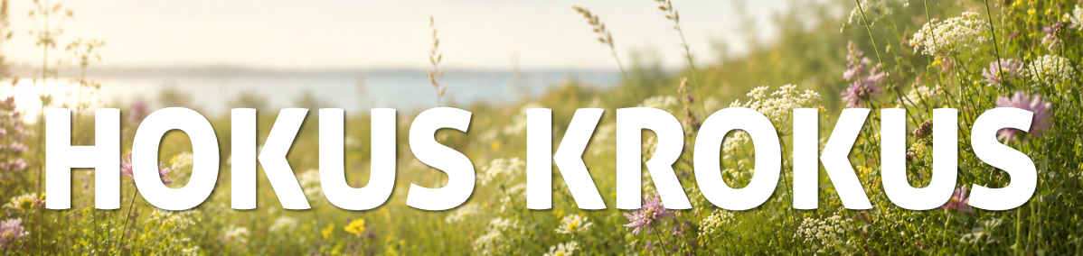 Hokus Krokus