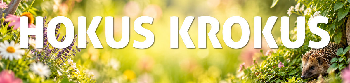 Hokus Krokus
