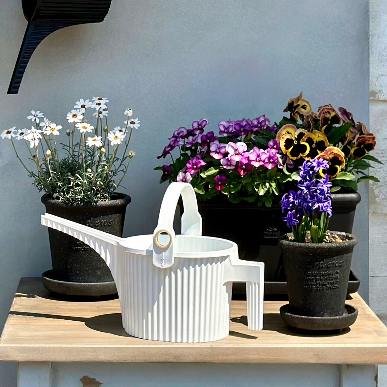 Watering houseplants