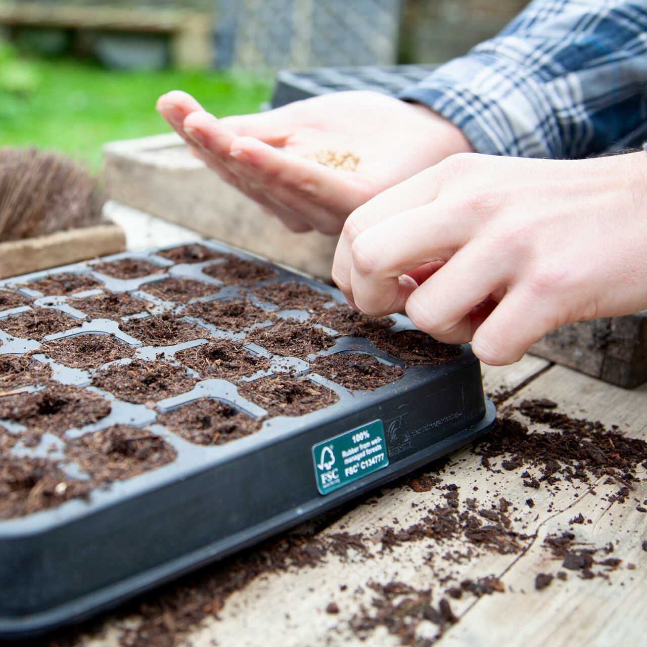 Sowing calendar month by month