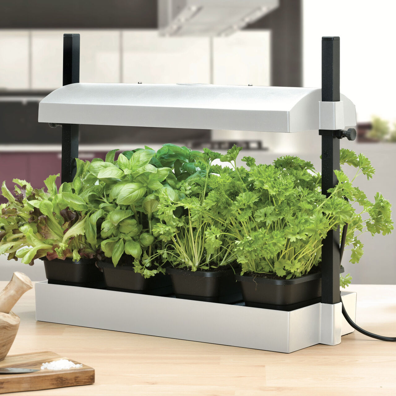 Pre-sowing: get started