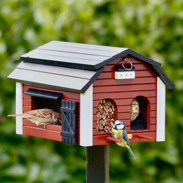 Vogel-Futterplatz im Garten